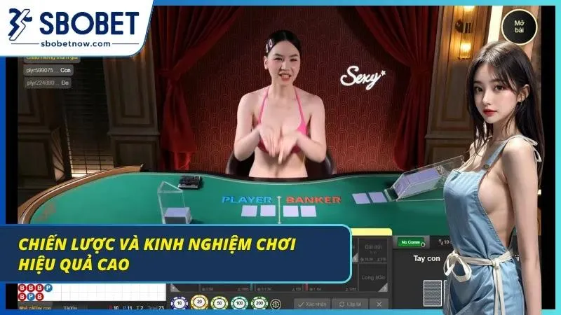 Baccarat SBOBET – Cẩm Nang Chinh Phục Bàn Cược Từ Chuyên Gia Bảng thống kê lịch sử cầu cược hiển thị các chu kỳ bệt rõ ràng