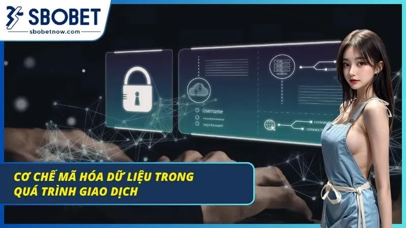 Chính Sách Bảo Mật - Cam Kết Minh Bạch & An Toàn Tuyệt Đối Hệ thống mã hoá giao dich đỉnh chóp