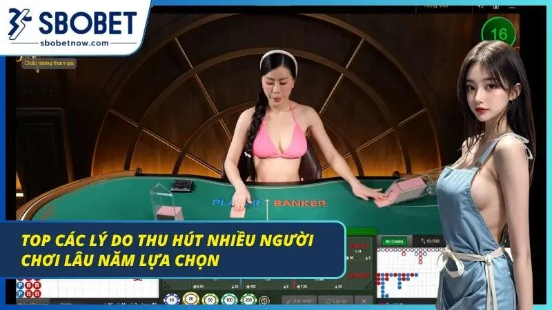 Giao diện trực quan và tính năng bảng cầu chi tiết là lý do giữ chân các cựu binh. 
