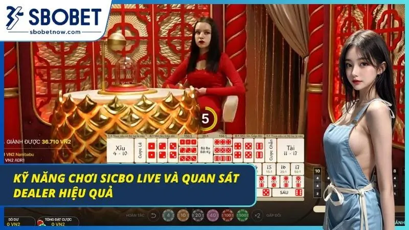 Sicbo SBOBET 2026 – Sân Chơi Đẳng Cấp Dành Cho Cách Bạc Thủ Mẹo chơi live và quan sát dealer hiệu quả nhất từ các chuyên gia dày kinh nghiệm
